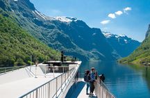 Private tour, Bergen to Oslo - Nærøyfjord Cruise & Flåm Railway