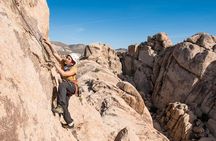Rock Climbing Trips in Joshua Tree National Park (6 Hours)