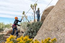 Rock Climbing Trips in Joshua Tree National Park (6 Hours)