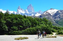 Full Day Chalten Self Guided Trek From Calafate