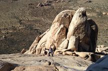 Rock Climbing Trips in Joshua Tree National Park (8 Hours)