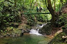 Ebano Waterfalls and Rainforest Safari Tour