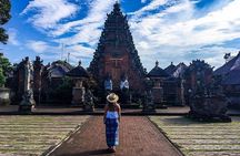 Private Bali Tour: Wonderful Ubud with Swing
