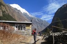 Langtang Valley Trek