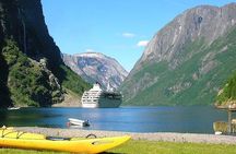 Private guided tour to Oslo - Nærøyfjord Cruise & Flåm Railway