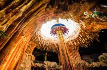 Private Tour to Bana Hills from Hoian - With Guide