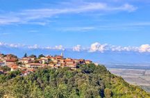 Premium & Organic Wine Tour in Kakheti