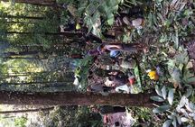 The Wild Explorer - 3 days forest trek with homestay and camping