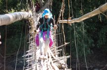 The Wild Explorer - 3 days forest trek with homestay and camping