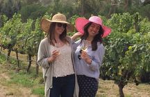 Full-Day Wine Gourmet and Scenic Delight Tour of Marlborough from Blenheim