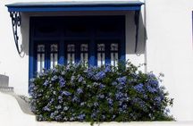 Excursion for cruises with stopover in Tunisia