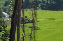 Nalan Trail Kmu Ethnic Experience - 2days forest trek with homestay. 
