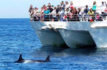 Private Port Stephens Day Trip from Sydney incl Dolphin Cruise