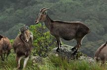 Chinnar wild valley experience day tour ( By Munnar Info)