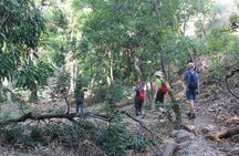 Chinnar wild valley experience day tour ( By Munnar Info)