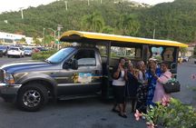 Shopping And Sightseeing Excursion