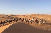 Desert Tour From Fez To Marrakech 3 Days / 2 Nights 