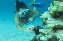 PACKAGE DEAL Catamaran- Snorkeling - Hooka Diving - Parasailing