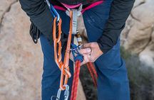 Rappelling Adventure in Joshua Tree National Park (4 Hours)