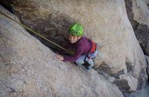 Family Rock Climbing Trips in Joshua Tree National Park (4 Hours)