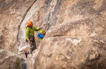 Family Rock Climbing Trips in Joshua Tree National Park (8 Hours)