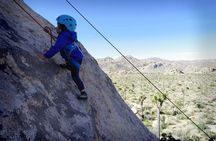 Family Rock Climbing Trips in Joshua Tree National Park (6 Hours)