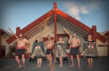 Hobbiton & Rotorua Living Māori Village Private Tour Ex-Auckland