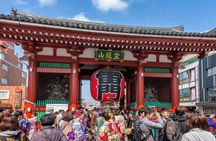 Half Day Sightseeing Tour in Tokyo
