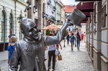 Guided Walking Tour in English or German 3H