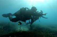 First scuba diving experience with instructor - Malta