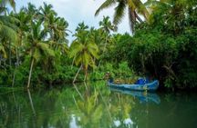Private Backwater Cruise on a Houseboat and Shikara including Lunch