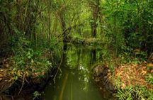 Private Alleppey Backwater Houseboat Day Cruise including Lunch
