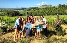 Half-day Chianti Classico Wine tour from Florence - Small Group