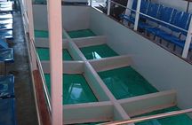 City Tour and Glass Boat Special Trip From Sharm Port