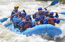 Bighorn Sheep Canyon Full-Day Experience