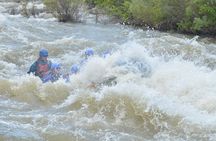 Bighorn Sheep Canyon Half-Day Rafting