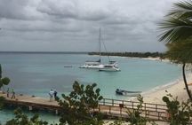 Full-day at Catalina Island from Santo Domingo with optional snorkeling included