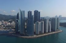 One Day Private Busan Tour with Local Tour Guide