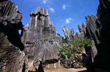 Private day tour in Kunming to Stone forest and cuihu lake with lunch