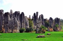 Private day tour in Kunming to Stone forest and cuihu lake with lunch
