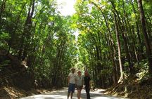 Bohol Chocolate hills and Nature tour 