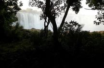 Guided Tour of the Falls 