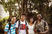 Guided Tour of the Falls 