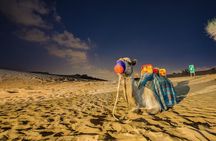 Private Evening Desert Safari with BBQ Dinner Dubai