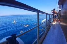 All Inclusive Brac and Solta islands swimming cruise