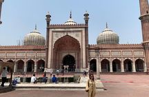 Delhi All Inclusive Half day City Tour With Guide
