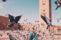 5 days in Marrakech city guide & private day-trips