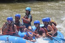 Bighorn Sheep Canyon Half-Day Rafting