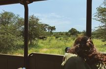 Kruger Park 2-day Safari from Maputo (Open-backed Safari Vehicle)