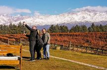 Uco Valley: Landscapes, organic wines and traditional flavors